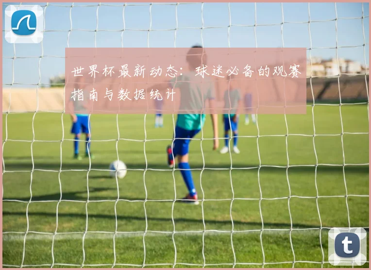 世界杯最新动态:球迷必备的观赛指南与数据统计
