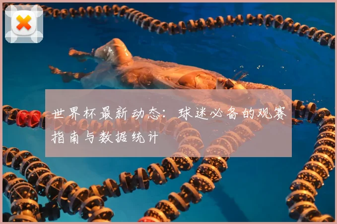 世界杯最新动态：球迷必备的观赛指南与数据统计