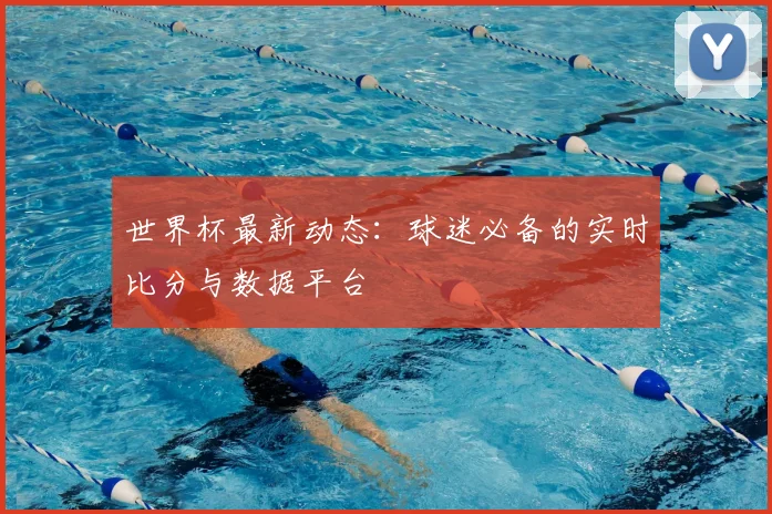 世界杯最新动态：球迷必备的实时比分与数据平台
